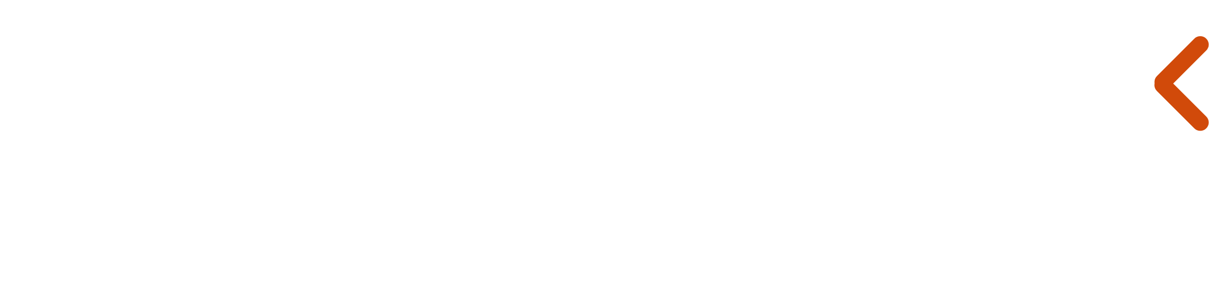 Flying Duck Marketing